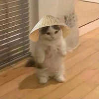 tác giả