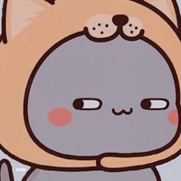 con mèo đội nón chó