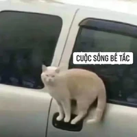 tác giả ngu lắm