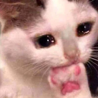 Tác giả simp chúa Izana