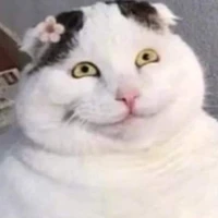 người được phỏng vấn