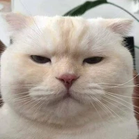 tác giả ₫ói rồi