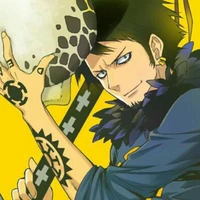 law