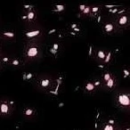 Người bí ẩn/Nhân vật phụ