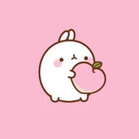 thỏ molang