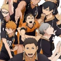 All Karasuno