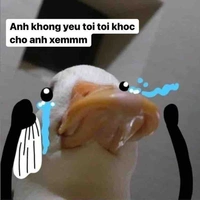 Cả lớp