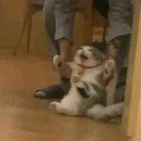 T/g siu siu kawai~