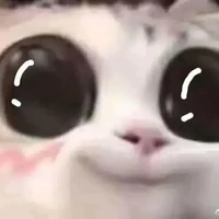 lớp E