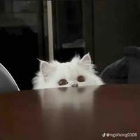 Tác giả đáng iêu <3