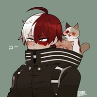 Todoroki Shoto