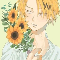 Kaminari Denki