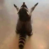 ALL