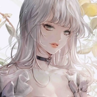 Y/n