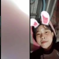 c tác giả