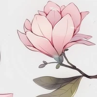 Author Yuna