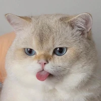 vác trên lưng mọi vai diễn