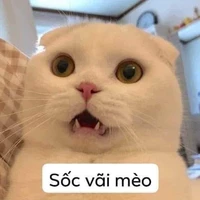 nhà Slytherin
