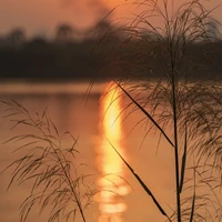 all