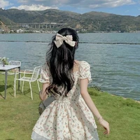 Ami