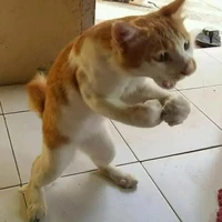 tác giả thận thịn