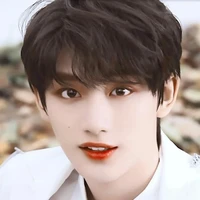 Đinh Trình Hâm(Anh)
