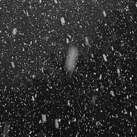 Alice ( con quễ tác giả)