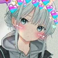 Y/N