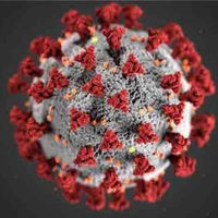 Virus Táo