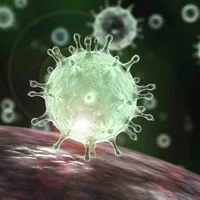 Virus Bơ