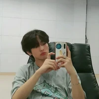 Liễu Quân Song Tử