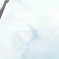 ?????
