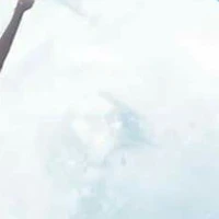 ?????