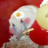 Teo là tákgiảaaa