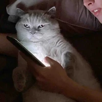 tác giả:3