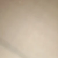 Đội thám tử nhí