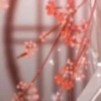 NV Tổng hợp