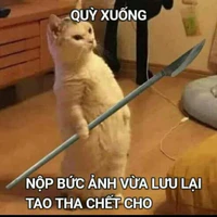 tác giả