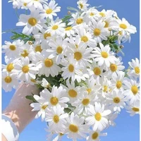 All