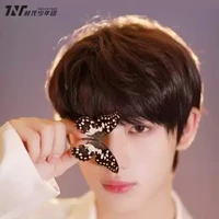 Đinh Trình Hâm