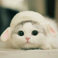 Hệ thống X //No Name//