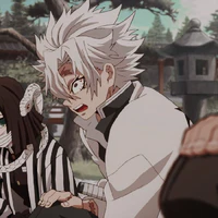 Shinazugawa Sanemi