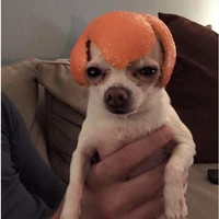 tôi/tác giả