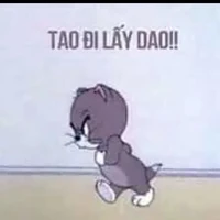 bọn cô