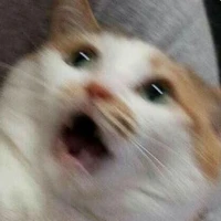 bà tg ăn hại :>>