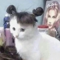 all (trừ ai cần trừ)