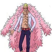 Donquixote Donflamingo