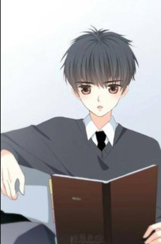 NovelToon