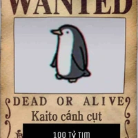 Ad (polly)