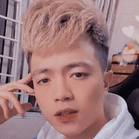 mr vịt